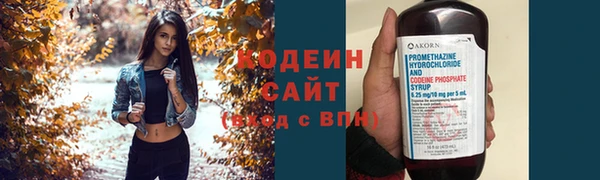 прущие грибы Богородицк