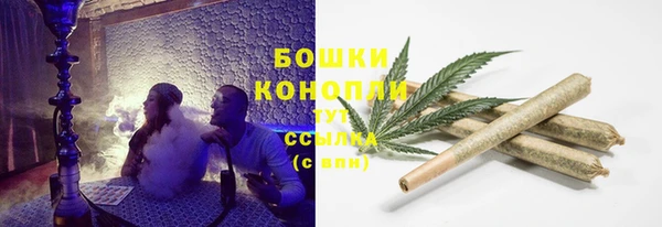 амф Белоозёрский