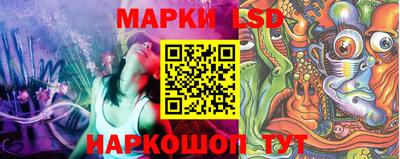 молекула духа Гатчина