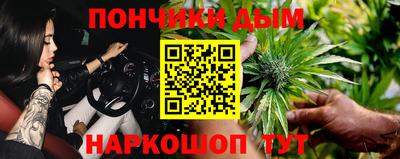 гидра Гай